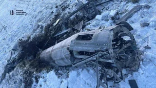 Герань превратилась в ракету